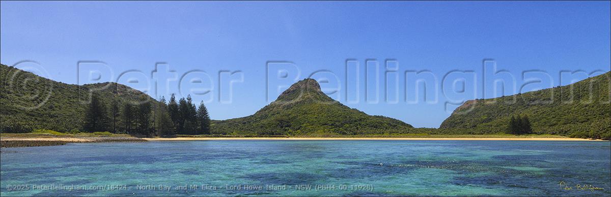 Peter Bellingham Photography North Bay and Mt Eliza - Lord Howe Island - NSW (PBH4 00 11928)